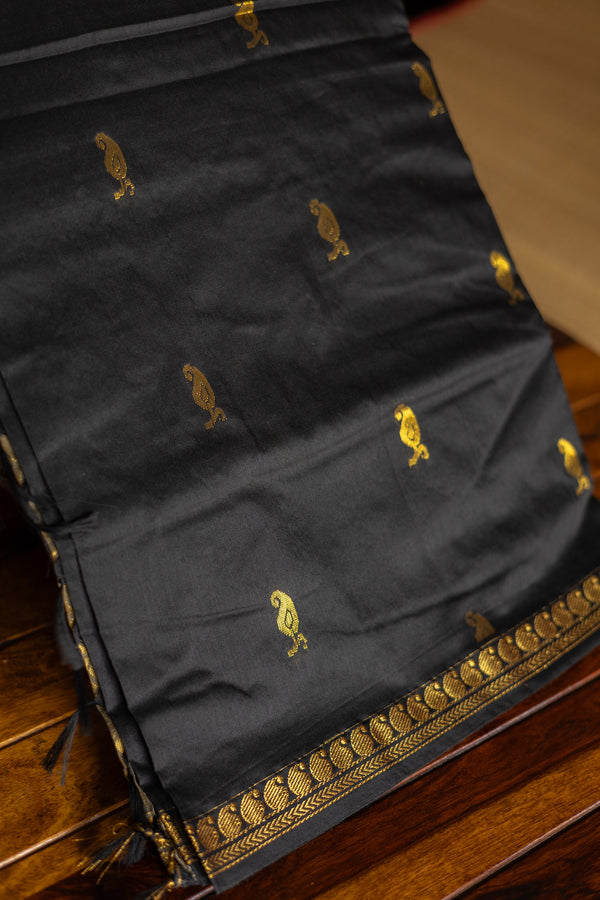 Black Raw Silk Saree with Simple Border & Grey Pallu