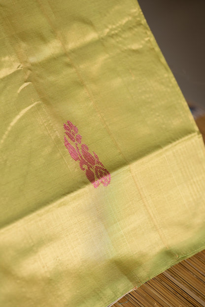 Light Olive Yellow Chinnalampattu Saree with Peacock Blue