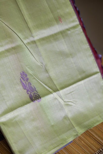 Pastel Green Chinnalampattu Saree with Dual Shade Purple & Lavender