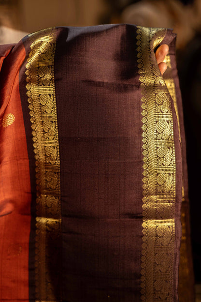 Rust Brown with coffee brown - rettaipettai border