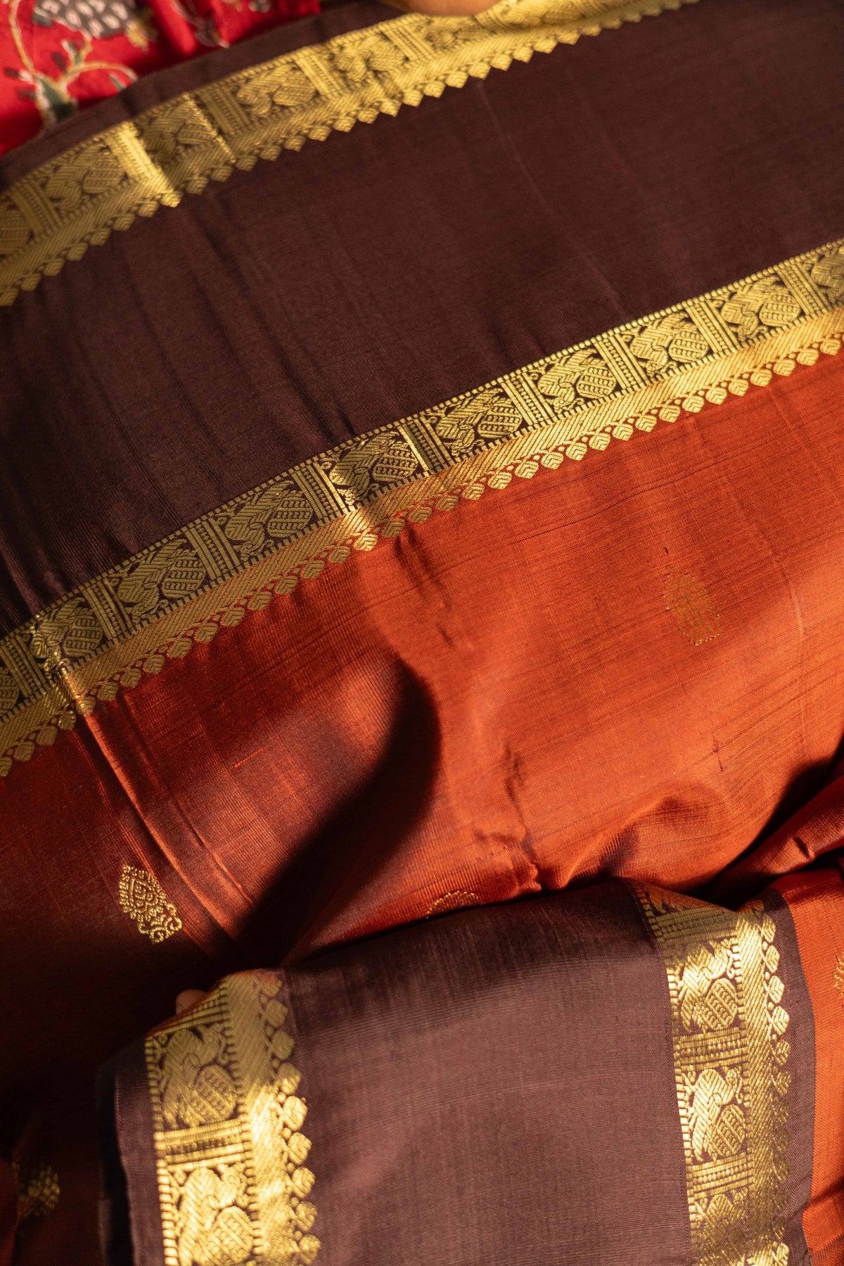 Rust Brown with coffee brown - rettaipettai border