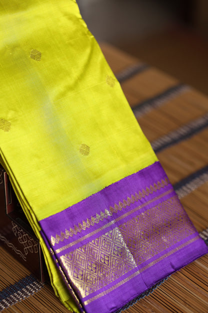 Parrot green with violet border and pallu