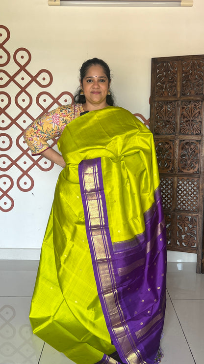 Parrot green with violet border and pallu